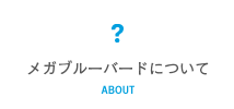 メガブルーバードについて