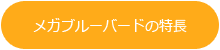 メガブルーバードの特長