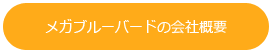 メガブルーバードの会社概要