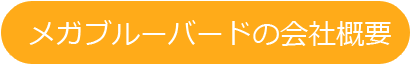 メガブルーバードの会社概要